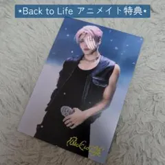 &TEAM MAKI 【Back to Life アニメイト特典】