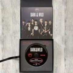 BTS DARK & WILD