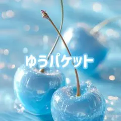 アラビックヤマト様 オーダーメイドピアス - メルカリ