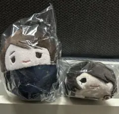 呪術廻戦 家入硝子 缶バッジ 傘っこ ちぃぬい ともぬい ぬいぐるみ まとめ売り 2025年最新】家入硝子 ちぃぬいの人気アイテム - メルカリ