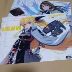 b*l様 魔法少女リリカルなのはEXCEEDS 2 とらのあな クリアファイル