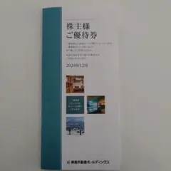 【値下げ】株主優待券 2024年12月発行