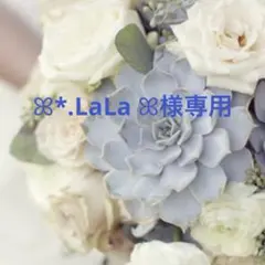 ꕤ*.LaLa ꕤ様ご確認用