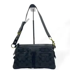 極美品 COACH アクセサリーポーチ ハンドバッグ シグネチャー 6044