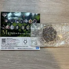 一番くじ 呪術廻戦 死滅回游 ～壱～ M賞 アクリルチャーム 獄門疆