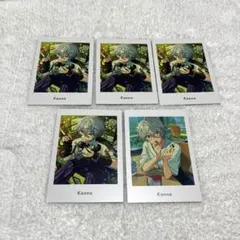 ぱしゃっつ カンナ