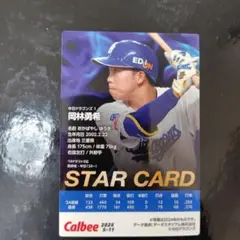 Item thumbnail for item 4c5de6dd-ef48-4a15-8be0-9a424397fca0