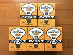 新品未開封】岩崎水銀ランプ H100と岩崎水銀灯安定器100V100W60HZ