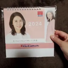 松嶋菜々子 非売品 未使用 2023年カレンダー セコム SECOM 入手困難 松嶋菜々子 非売品 未使用 2023年カレンダー セコム SECOM 入手困難