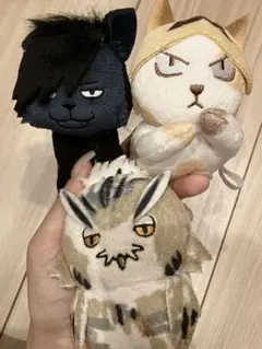 ハイキュー ぬいぐるみキーホルダー 3点セット ジャンプフェスタ2015 レア