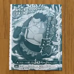 ワンピースカード ジンベエ Vジャンプ付録