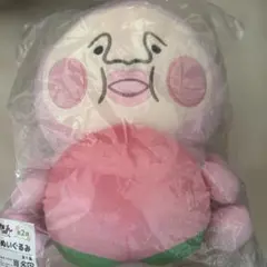 も*ち様 こびとづかん 第2弾 A賞もちもちBIGぬいぐるみ、B賞ぬいぐるみ