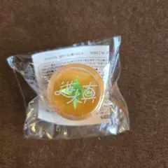 【未使用】あんスタ リングライト 遊木真 スタライ8th