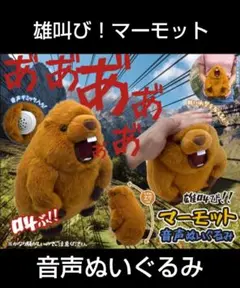 2025年最新】雄叫びマーモットの人気アイテム - メルカリ