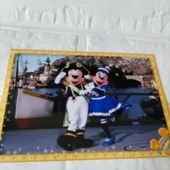 ディズニー スペシャルフォト