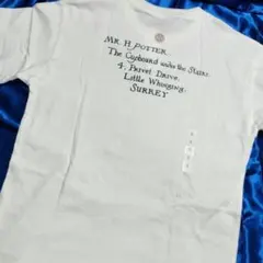 Item thumbnail for item f1a52dc0-d750-4e8c-8c88-db07657a172d