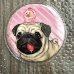 こびとづかん まじかる百貨店 缶バッジ カクレモモジリ ガルシア 犬 パグ 公式
