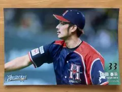 ファイターズ　大田泰示　ハイライトフォト