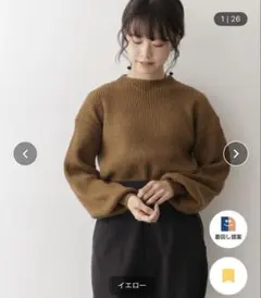 ITEMS URBAN RESEARCH ブラウン長袖ニット