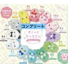すくっとたっちさん　ぬいぐるみ　おたんじょうびからー　12ヶ月　コンプリート