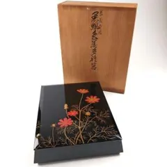 Item thumbnail for item 5f3df9db-96bf-489f-a467-d20390d24bfb