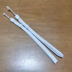 Wiiリモコン用ストラップノーマル色2本セット　中古品