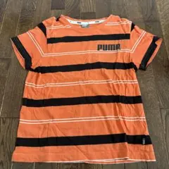 PUMA ストライプ Tシャツ オレンジ/黒