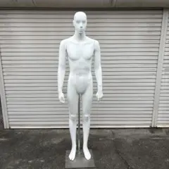 パールイデア パール マネキン 全身 トルソー メンズ