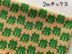 2m　ぴょこっと　カエル　蛙　オックス　生地　コットン　アプリコット　406