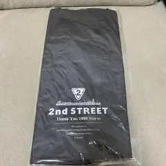 Item thumbnail for item 54cfbe5c-364f-4350-abc6-488ef80749eb