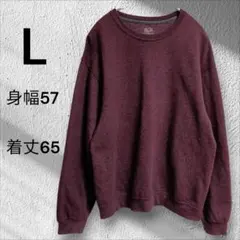 アメリカ古着 フルーツオブザルーム L 無地