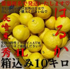 (#^.^#)超ボインボイン♡超大きいのがお好きな♡お爺様用かしら〜ん❤️はるか❤️