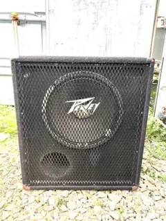 2026年最新】PEAVEY アンプの人気アイテム - メルカリ