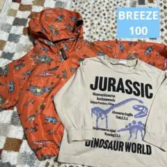 BREEZE 福井県立恐竜博物館コラボ 2点セット　100㎝