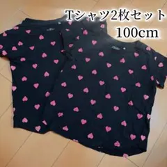 Tシャツ 2枚セット 100cm