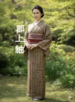 ☘️早い者勝ち☘️【国宝品】○国指定重要無形文化財○【久米島紬