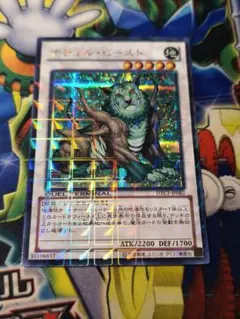 2025年最新】ナチュルビースト シークレットの人気アイテム