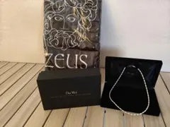 ZOCALO ヘリンボーンネックレス ファング・オブ・アイビー セット 