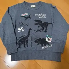 Explorers 恐竜プリント トレーナー 130