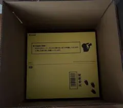 完全未開封 ポケモン30周年記念 おかえり!ピカチュウ1/1 専用BOX入り
