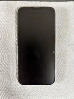 Apple iPhone 13 Pro Max本体