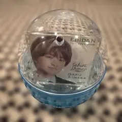 EBiDAN THE LIVE 2026 さくらしめじ 田中雅功 アクリル