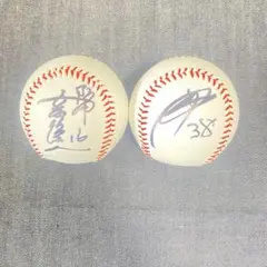 レオちゃん様 リクエスト 2点 まとめ商品