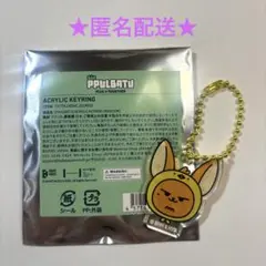 TXT ppulbatu アクキー ファンチュン ヨンジュン