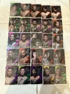 RIZINウエハースサイン入りカード 25枚セット シークレットあり