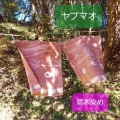 Item thumbnail for item c2f7cf76-c22c-4e2a-bf0c-d80c1881d337