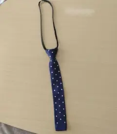 Item thumbnail for item 29122034-8d77-467d-bf90-a1619fa15342