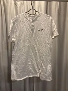 Hollister ホリスター ヘンリーネック Tシャツ M ホワイト