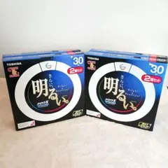 Item thumbnail for item 203d031e-5082-457c-a31f-bb73be2bd912