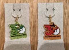 ポケモン　30周年　ロゴマスコット　ツタージャ　ポカブ